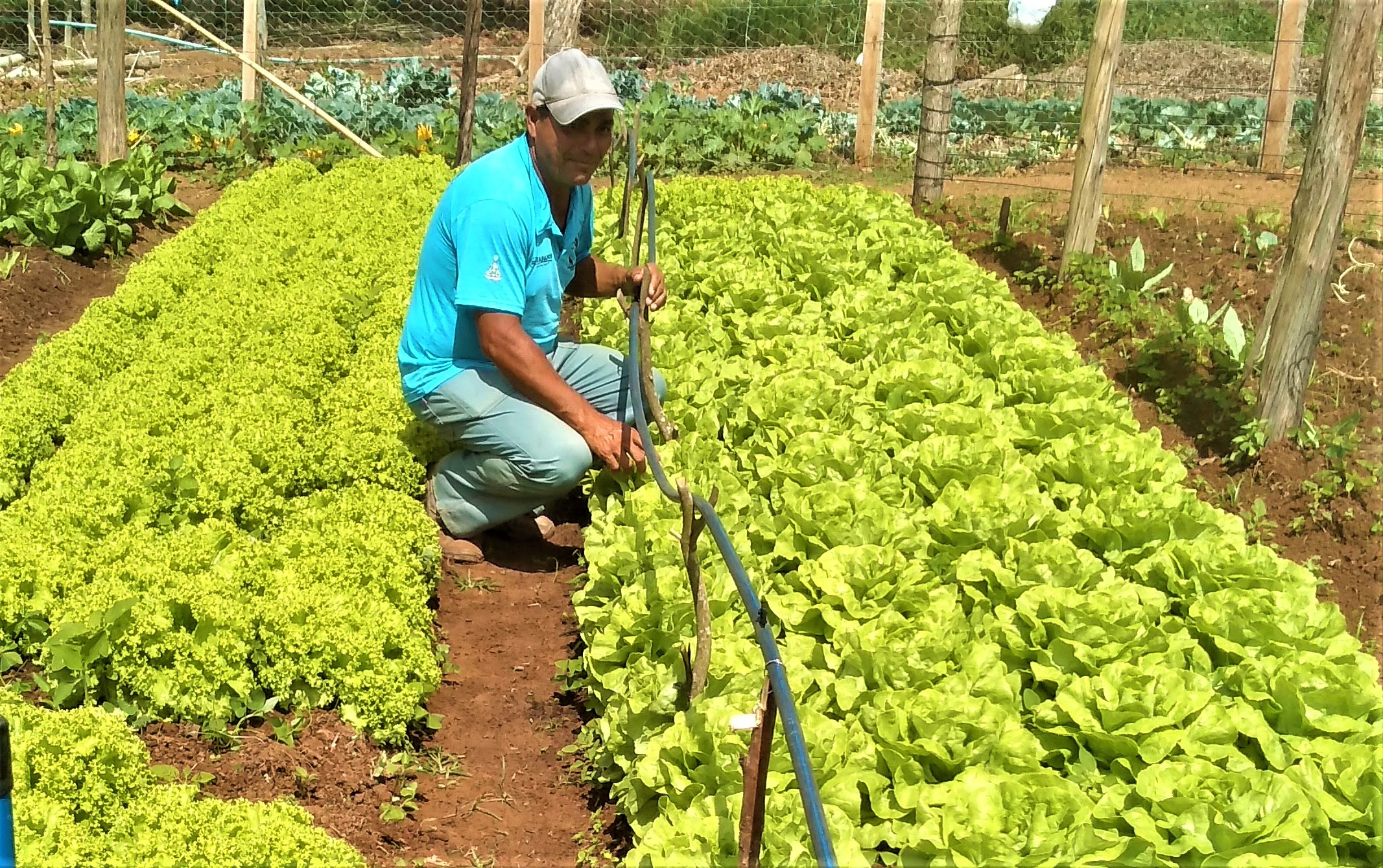 /20133Horta Serrania 1.jpg